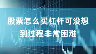 股票怎么买杠杆可没想到过程非常困难