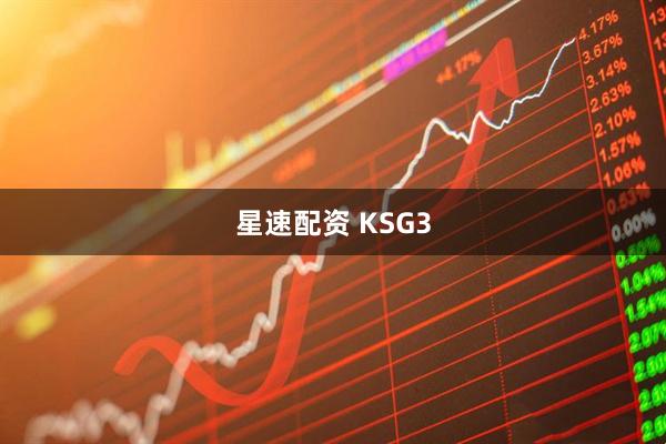 星速配资 KSG3