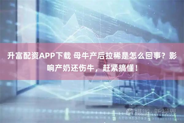 升富配资APP下载 母牛产后拉稀是怎么回事？影响产奶还伤牛，赶紧搞懂！